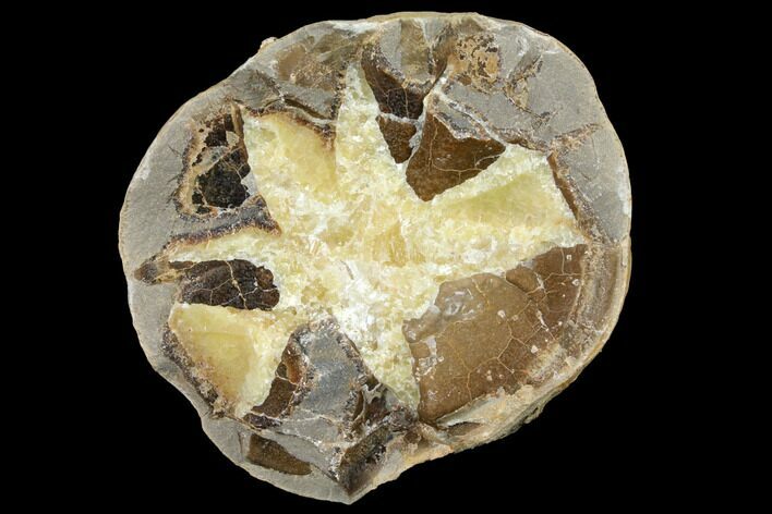 Yellow Calcite Filled Septarian Nodule Half - Utah #127996